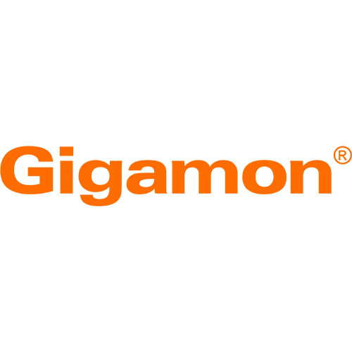 gigamon